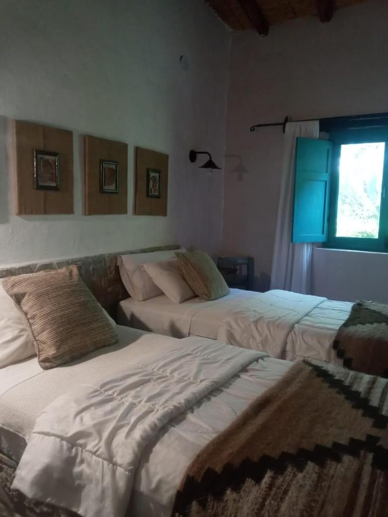 Finca La Paya Casa De Campo Hotel Rural Cachi Ngoại thất bức ảnh